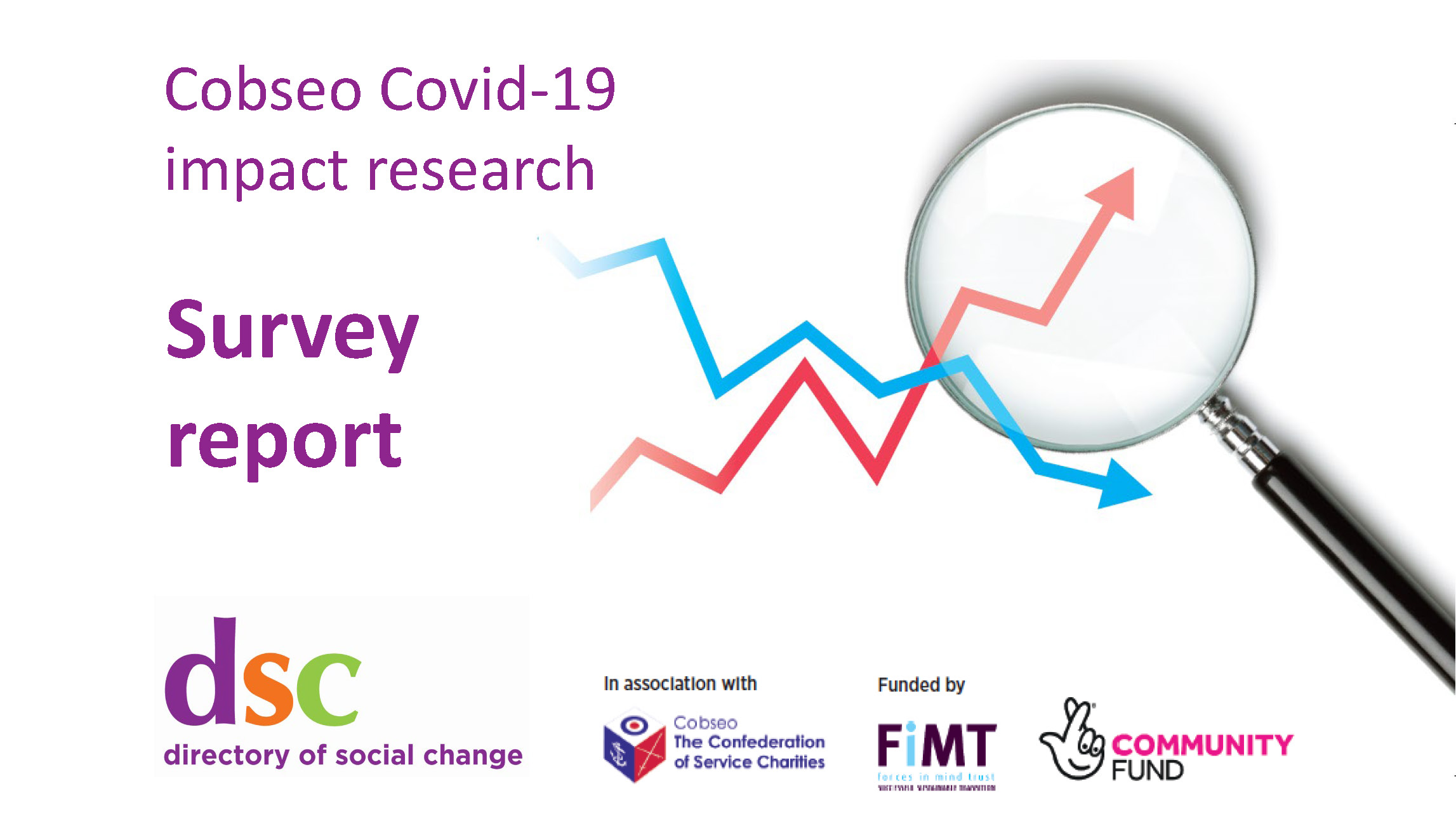 Directory Of Social Change Cobseo Members Surveys Analytical Reports